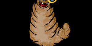 Introduction to Marvin, the Maggot